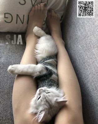 美女被操到失禁_高清日韩免费观看