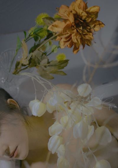亚洲精品一区二区妖精_BD英语全集免费播放